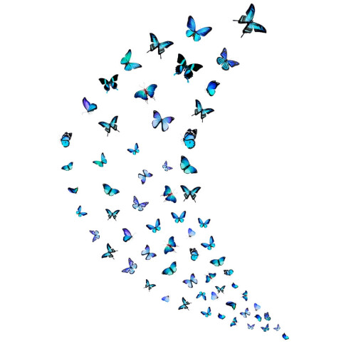 Butterfly Wall Sticker for Girls Room Decor1Pack 1