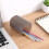 Frosted Transparent Pen Cup for Desk Stationery Storage 5