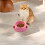 Gamelle Kayannuo pour chiens et chats avec 5