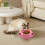 Gamelle Kayannuo pour chiens et chats avec 6