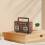 Retro Bluetooth minihøjttaler med radio og USB-drev 7