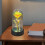 Galaxy Rose in Glaskuppel mit LED-Beleuchtung 6