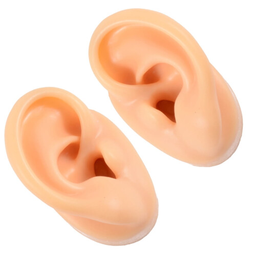 Silicone Ear Molds for Teaching 2 pcs 2