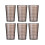 Acrylic Drinking Cups High-Grade Plastic 6pcs 4
