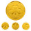 Saint Patrick's Day decorative coins plastic 100 pcs 3