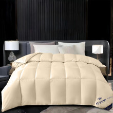 Offres du Cyber Monday : Couette d'hôtel Oefntac, couette chaude en duvet blanc, couette épaisse et fraîche pour l'hiver, le printemps, l'automne