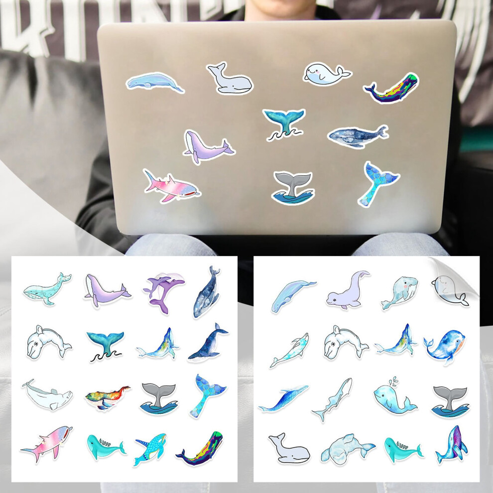 Federra Graffiti Sticker For Luggage Phone Cup 9314556669040