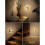 LED Night Light, Night Lights Plug Into Wall [2 Pack] with Dusk-to-Dawn Sensor, Dimmable Nightlights EU Plug 6
