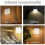 Motion Sensor LED Night Light  Motion Sensor Night Light Lamp USB Rechargeable Magnetic Wall Lamp 3 Color Modes 7