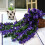 Ciseán Crochta Violet Wisteria Garland Saorga 1