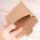 Kraft Paper CD DVD Envelopes 30 pcs 4