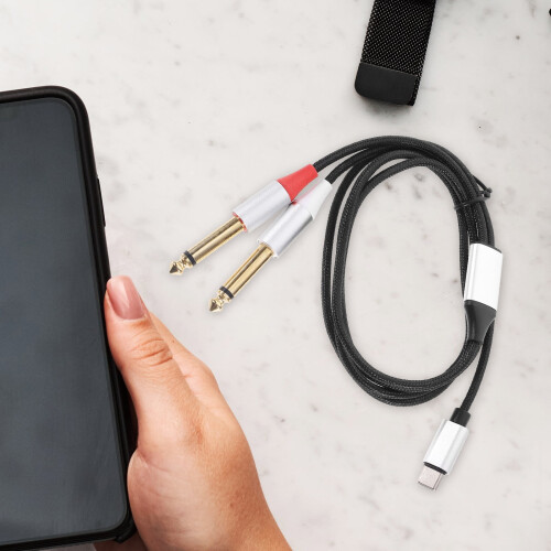 USB-C to Dual 1/4" Audio Cable 1m 2