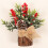 Small artificial Christmas tree with 20 LED lights and 4