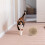 Tapis à griffer pour chat avec poteau vertical en forme de boule 4