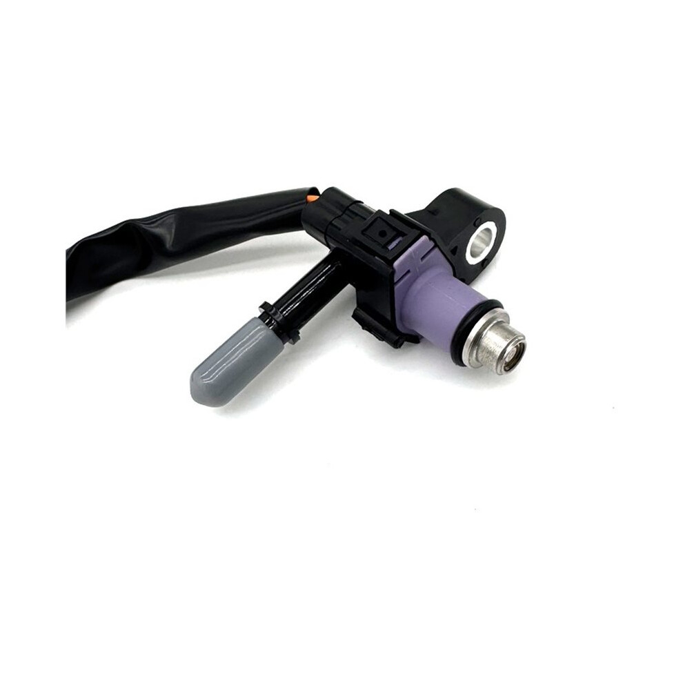 Motorcycle Fuel Injector For Ybr125 Ybr 125 2007 2008 2009 2010 2011 2012 V-Ixion Motorcycle Accessories 6033354989800