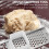 Stainless Steel Dough Scraper Tool 2 Pack 5