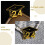 Eease metall examensbroscher set om 5 4