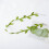 Κολιέ Green Leaf Choker με ρυθμιζόμενη αλυσίδα κλείδας 2
