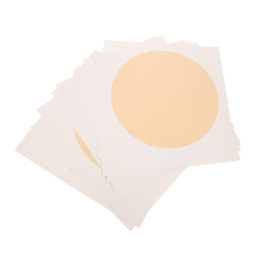 Xuan Paper for Calligraphy and Painting 100 Sheets