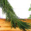 Artificial Norfolk Pine Garland Real Touch 5ft 1