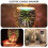 3D wax aroma diffuser glass candle fragrance warmer 3