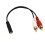 Καλώδιο ήχου 3,5 χιλ. σε RCA Y-Splitter2Pack 6