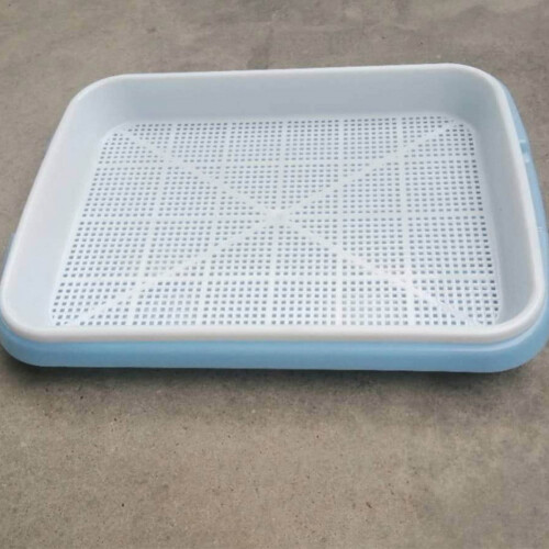 Microgreens Tray Hydroponic Sprouting Tray 10-Pack 1