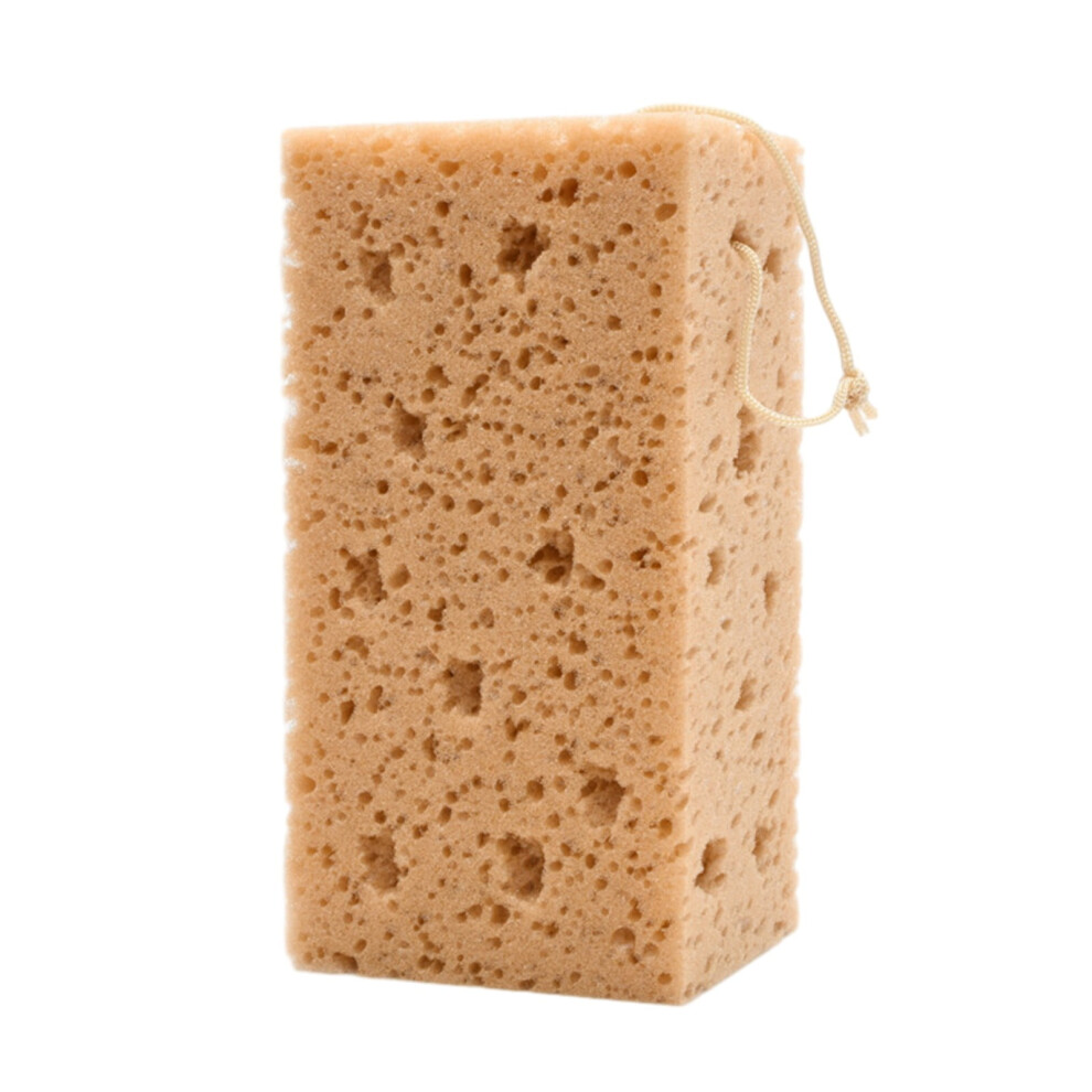 Car Cleaning Honeycomb Waxing Sponge Absorbent Multi-Bubble Coral 975221704047