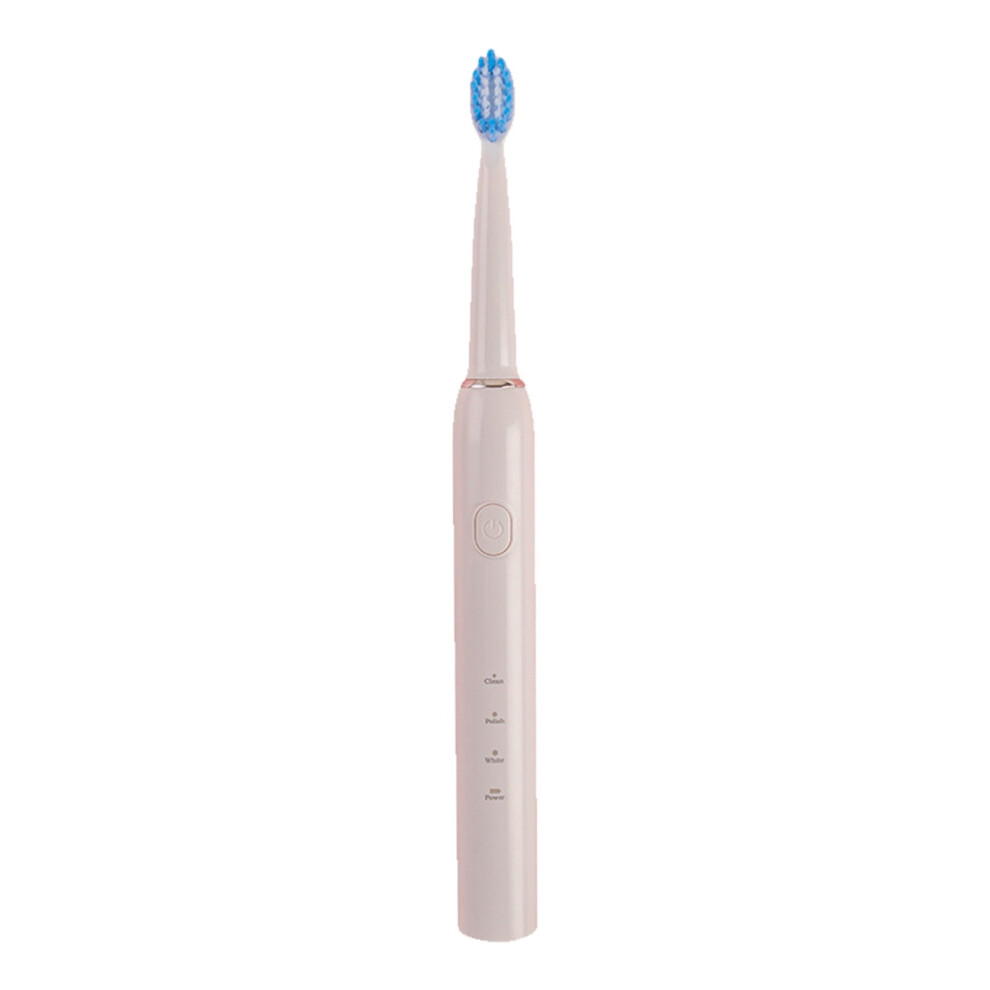 Electric Toothbrush for Adults with 4 Brush Heads