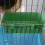 Feiona parrot bathtub with mirror and toys 3