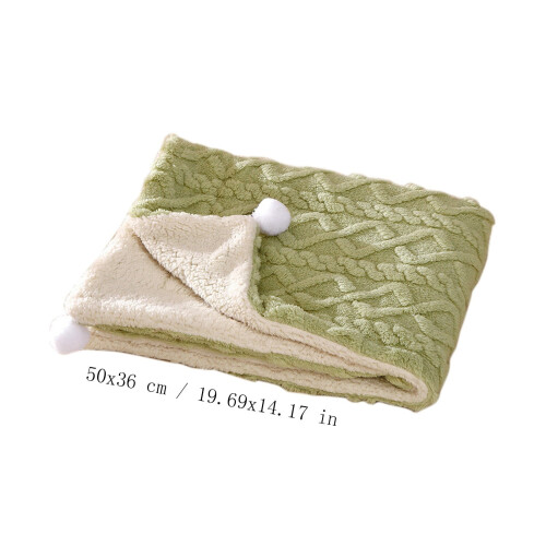 Wool Pet Blanket Anti-Static Double-Sided Thermal Pad 2
