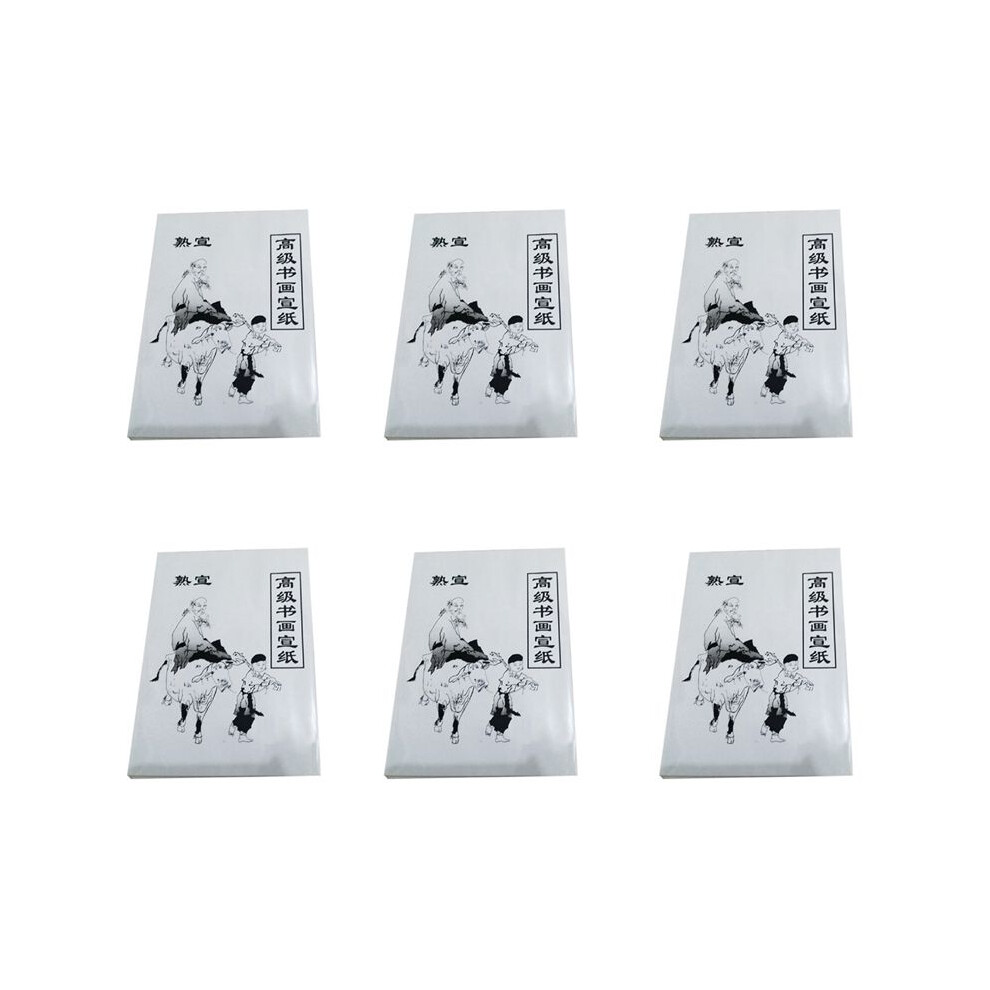 6X 30 Sheet White Painting Paper Xuan Paper Rice Paper Chinese Painting And Calligraphy 36Cm X 25Cm 6032516074507