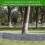 Garden border edging stones, interlocking lawn stakes, 4