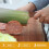 Wooden Kitchen Tool Handle Replacement Accessories 5