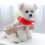 Dog Harness Dress with D-Ring for Walking 3