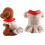 Dog Harness Dress with D-Ring for Walking 5