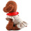Dog Harness Dress with D-Ring for Walking 6