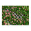Winysin3D Tecido de Fundo com Imitação de Grão de Madeira para Fotografia 2