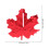 Κομφετί Maple Leaf σε διάφορα χρώματα, 8 συσκευασίες 4
