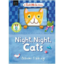 Night Night Cats With 5 play pieces to put to bed by Naomi Tipping Pap