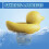 Distributeur de chlore Yellow Duck pour piscine et spa (1 unité) 3