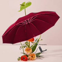 Portable travel umbrella windproof compact 1 pack