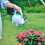 Eease2pcs Annaffiatoi a forma di animale per piante da interno/esterno e giardino 3