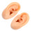 Silicone Ear Molds for Teaching 2 pcs 2