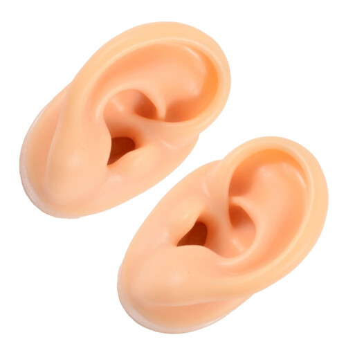 Silicone Ear Molds for Teaching 2 pcs 1
