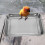 Metal pigeon shower tool for bathtub small bird thickened 2