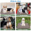 Dog Cooling Mat Small Medium Large Summer Pet Bed 7