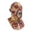 Zombiehoofddeksel, latex feestmasker 3