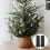 Artificial Christmas Tree Rotating Stand6Pcs 5