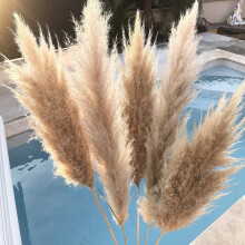 YiFudd Secchezza Naturale - Il Bouquet da Sposa è un Colore da Sposa Preferito all'interno della Naturale
